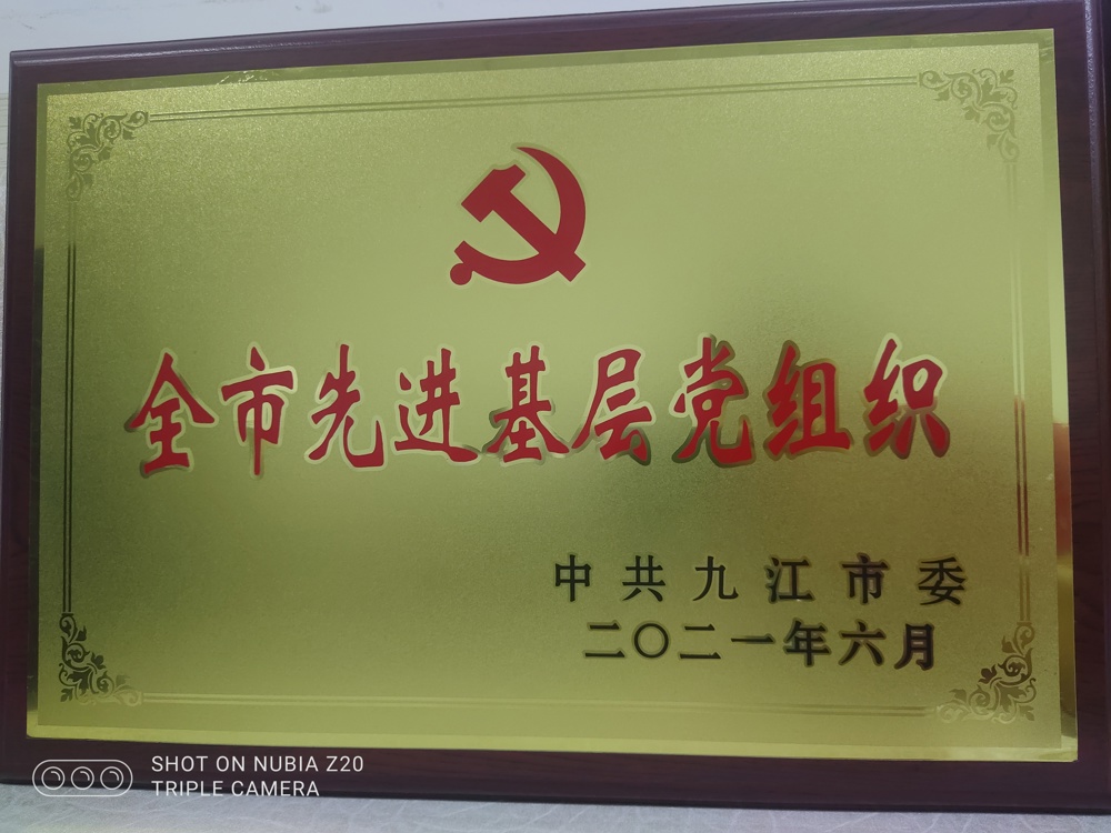 2021年（nián）全市先進基層黨組織