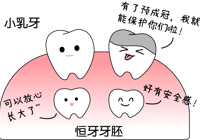 【新技術】武寧縣總（zǒng）醫院人民醫院院區口腔科：牙齒上的“黃金護甲”——乳牙預成冠
