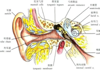 【新技術】武寧縣（xiàn）總醫院人民醫院院區神經內科開展視頻眼（yǎn）震圖儀技術